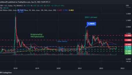 Ripple Fiyat Analizi: Teknik ve Temel Yöntemler